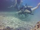 Hawaii Scuba divng 25