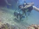 Hawaii Scuba divng 26