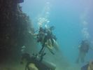 Hawaii Scuba divng 28