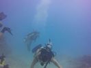 Hawaii Scuba divng 29