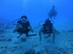 Hawaii Scuba divng 12