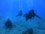 Hawaii Scuba divng 14