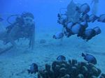 Hawaii Scuba divng 17