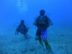 Hawaii Scuba divng 18