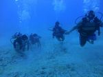 Hawaii Scuba divng 19