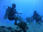 Hawaii Scuba divng 20