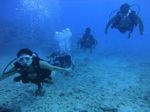 Hawaii Scuba divng 21