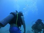 Hawaii Scuba divng 23