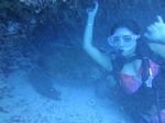 Hawaii Scuba divng 26