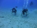 Hawaii Scuba divng 33