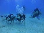 Hawaii Scuba divng 34