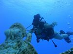 Hawaii Scuba divng 42