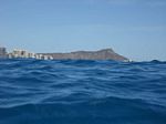 Hawaii Scuba divng 04