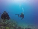 Hawaii Scuba divng 10