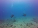 Hawaii Scuba divng 11