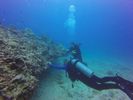 Hawaii Scuba divng 13