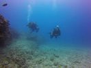 Hawaii Scuba divng 15