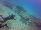 Hawaii Scuba divng 23