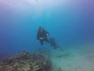 Hawaii Scuba divng 27