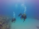 Hawaii Scuba divng 28