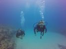 Hawaii Scuba divng 29