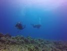 Hawaii Scuba divng 30