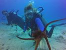 Hawaii Scuba divng 33