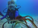 Hawaii Scuba divng 35