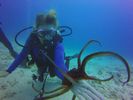 Hawaii Scuba divng 37