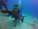 Hawaii Scuba divng 38