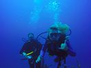 Hawaii Scuba divng 03