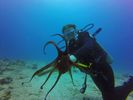 Hawaii Scuba divng 42