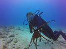 Hawaii Scuba divng 44