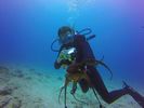 Hawaii Scuba divng 45