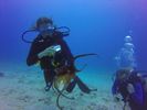 Hawaii Scuba divng 46