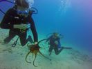 Hawaii Scuba divng 47