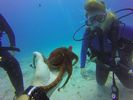 Hawaii Scuba divng 48