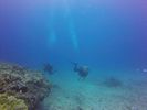 Hawaii Scuba divng 52