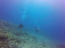 Hawaii Scuba divng 53