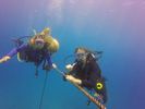 Hawaii Scuba divng 54