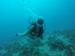 Hawaii Scuba divng 12