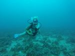 Hawaii Scuba divng 14