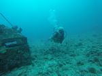Hawaii Scuba divng 25