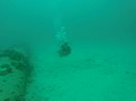 Hawaii Scuba divng 08