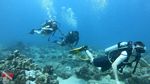 Honolulu scuba 17