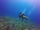 Hawaii Scuba divng 10