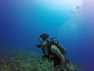 Hawaii Scuba divng 12