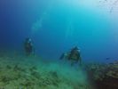 Hawaii Scuba divng 16