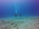 Hawaii Scuba divng 23