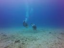 Hawaii Scuba divng 24